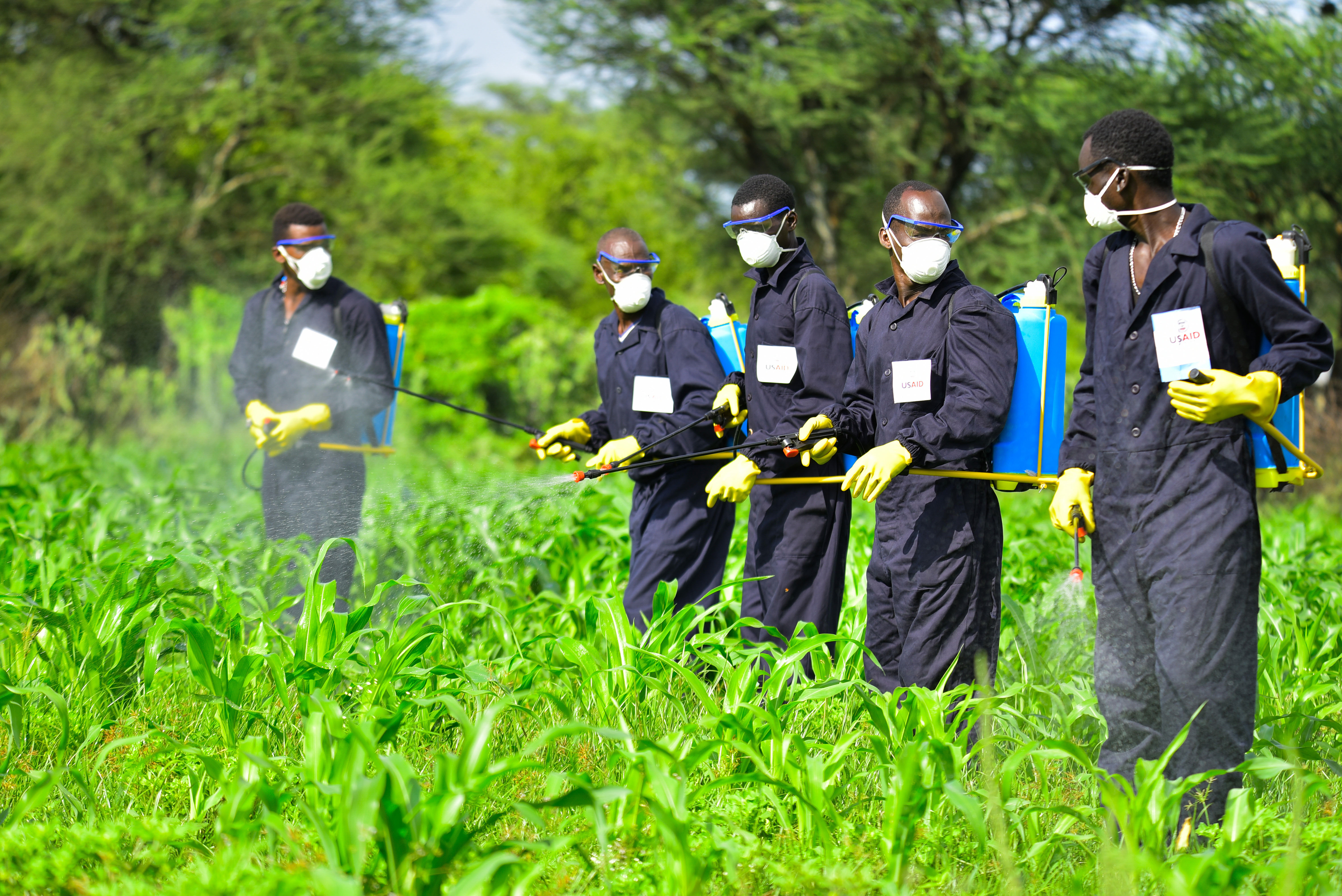 Course Image Crop Protection Execution 2023