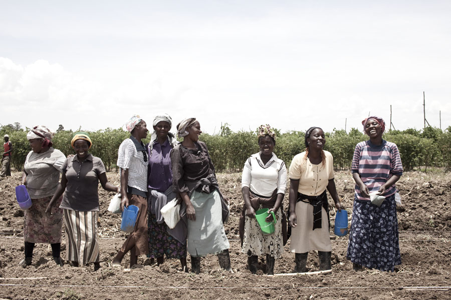 Course Image Programme d'accompagnement : Agriculture biologique