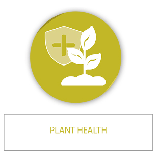 Plant health