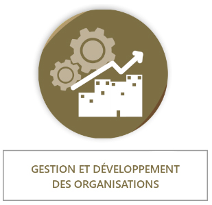 Gestion et développement des organisations