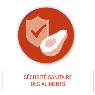 Sécurité sanitaire des aliments