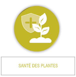 Santé des plantes