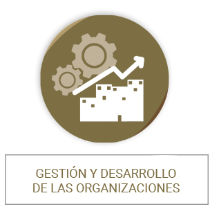 Management of organisations and business development