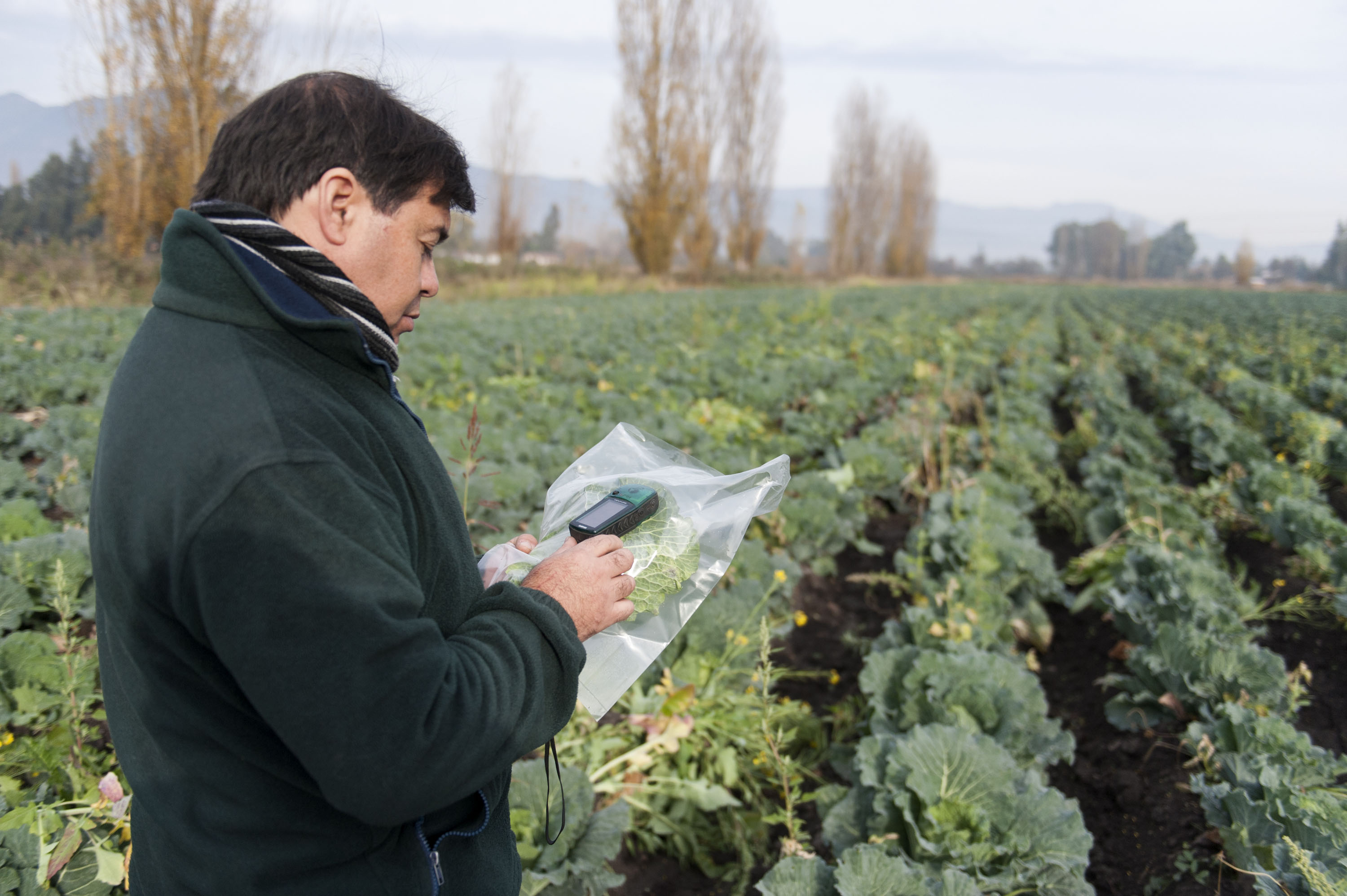 Course Image Data Collection for the Business Membership Organisations (BMOs)