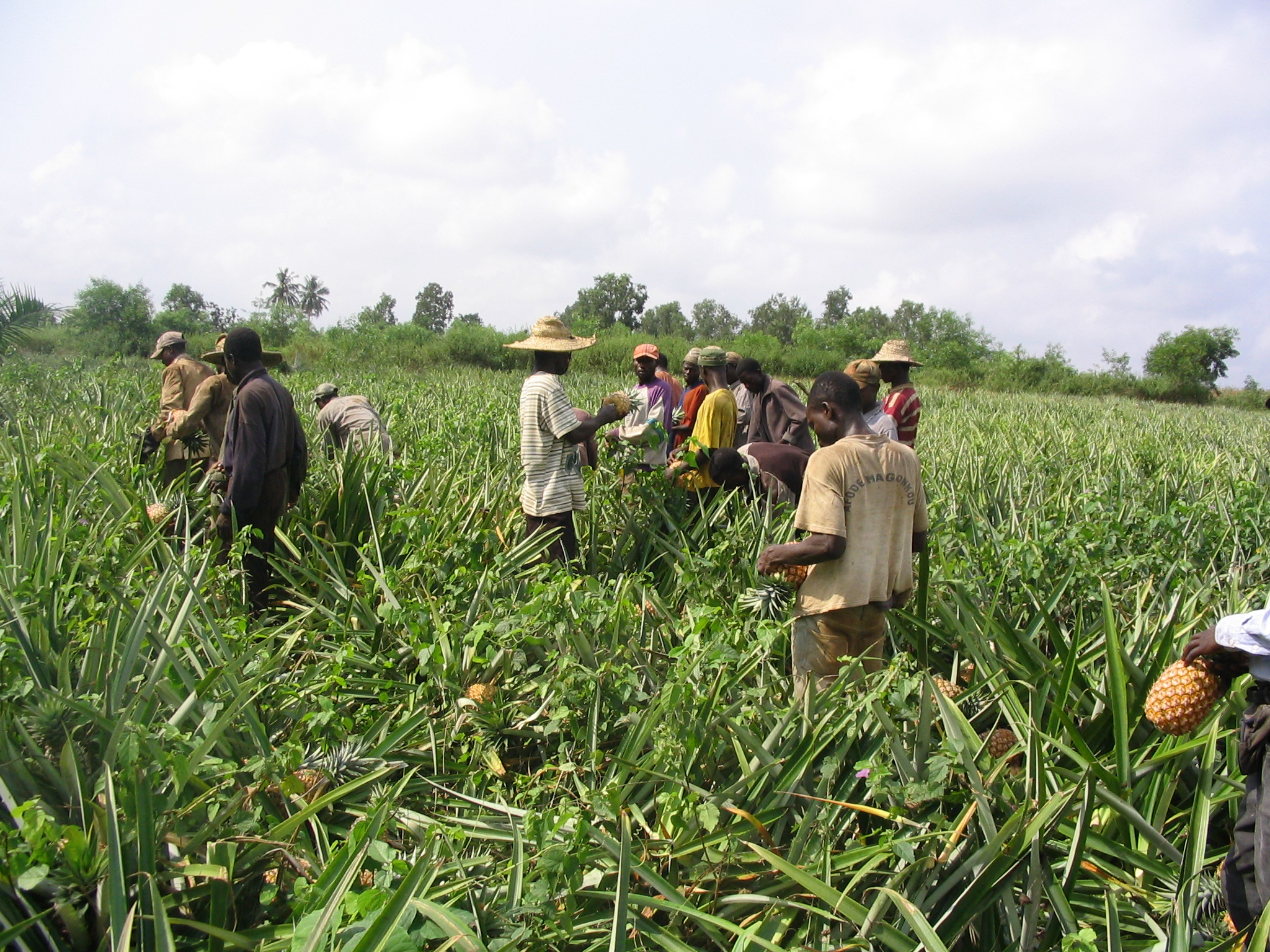 Course Image Sustainable soil management 2024