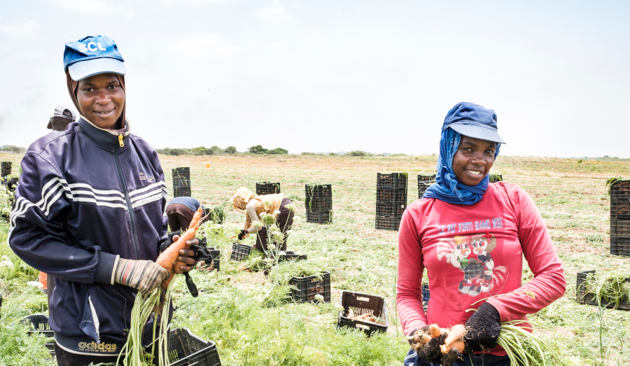 Course Image Organic Agriculture 2025