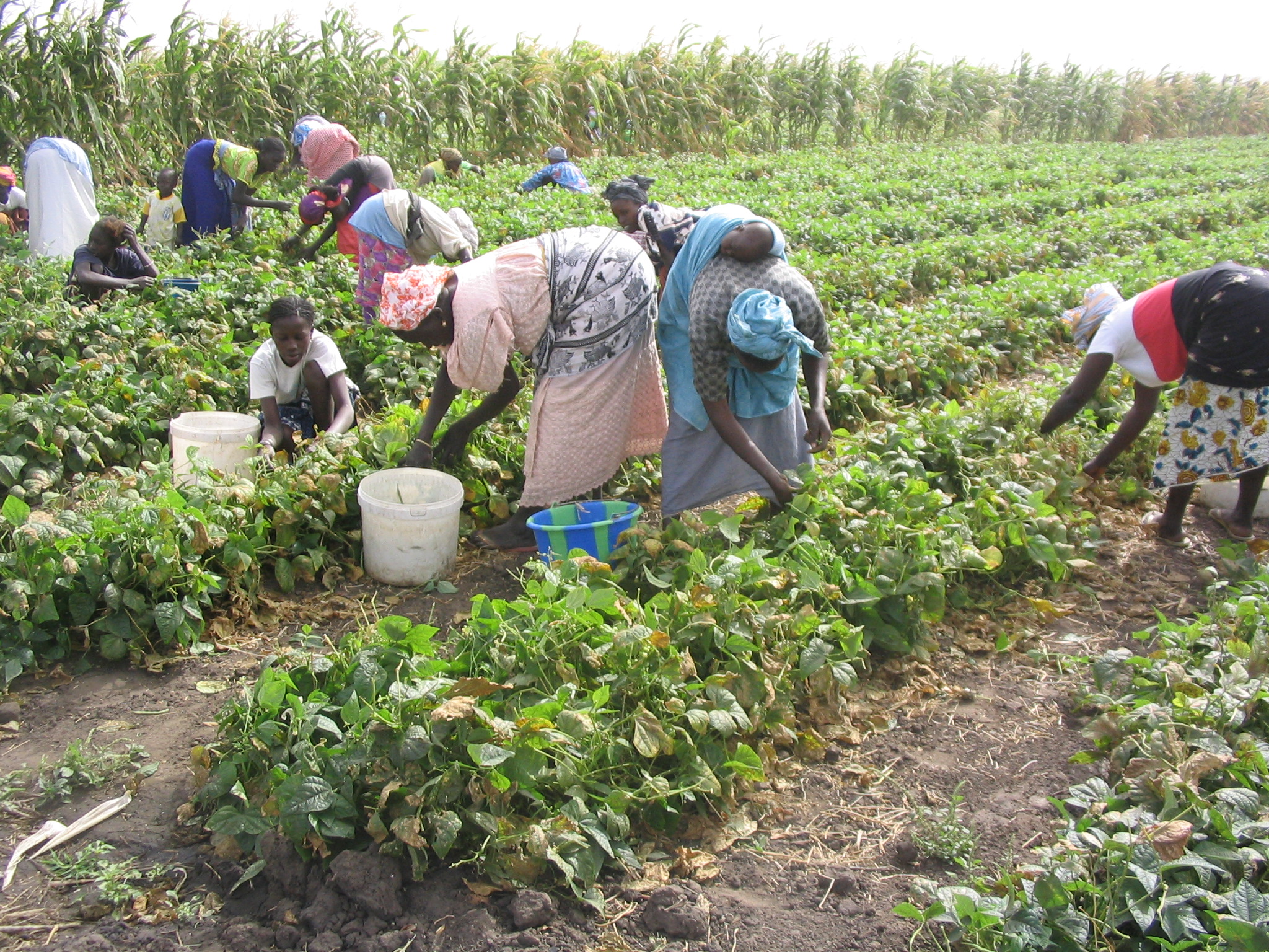Course Image Gérer les dynamiques de genre sur le lieu de travail