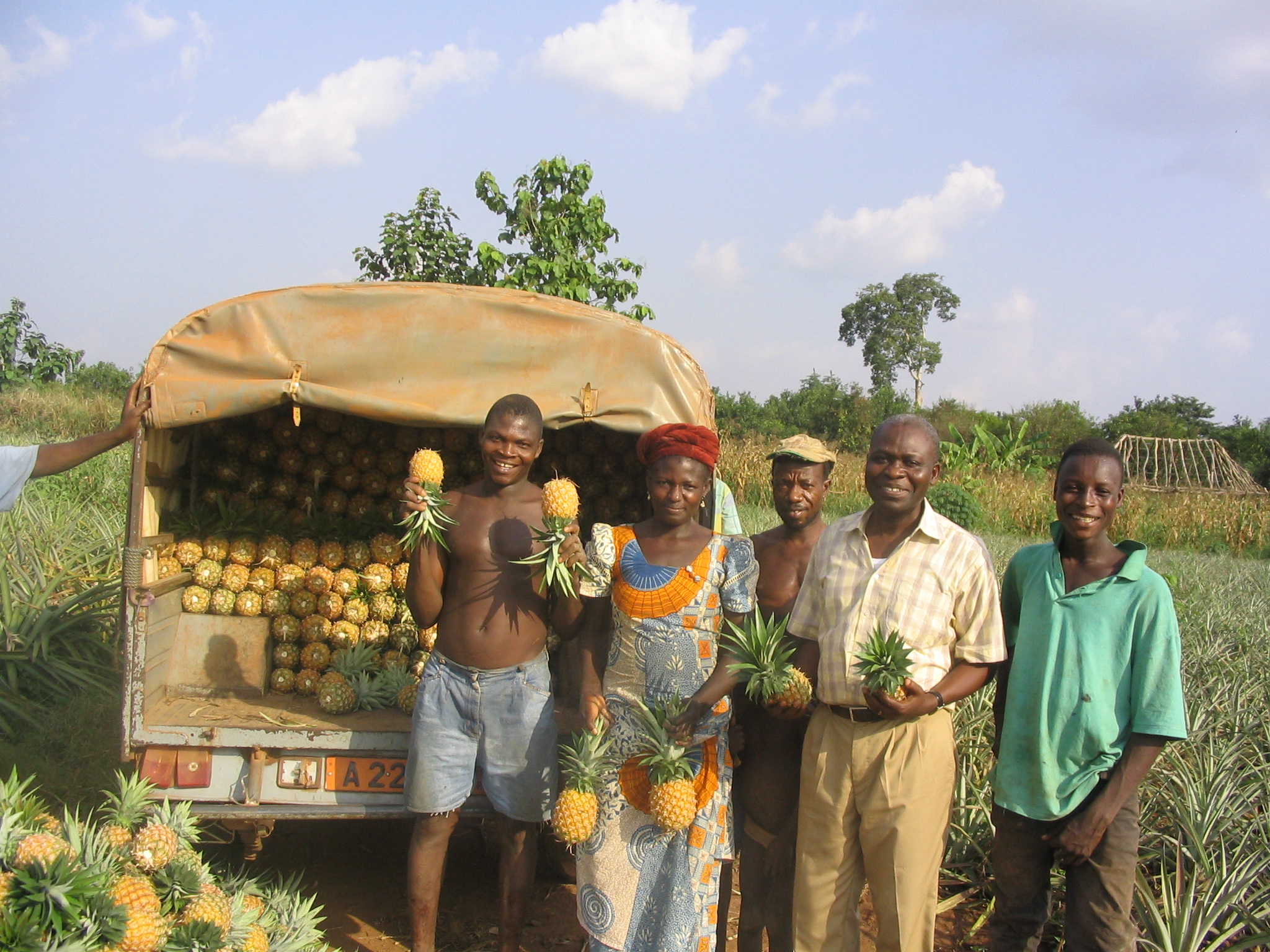 Course Image Fondamentaux de la gestion des ressources humaines 2025