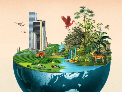 Course Image Sustainable Management of Biodiversity, 2026