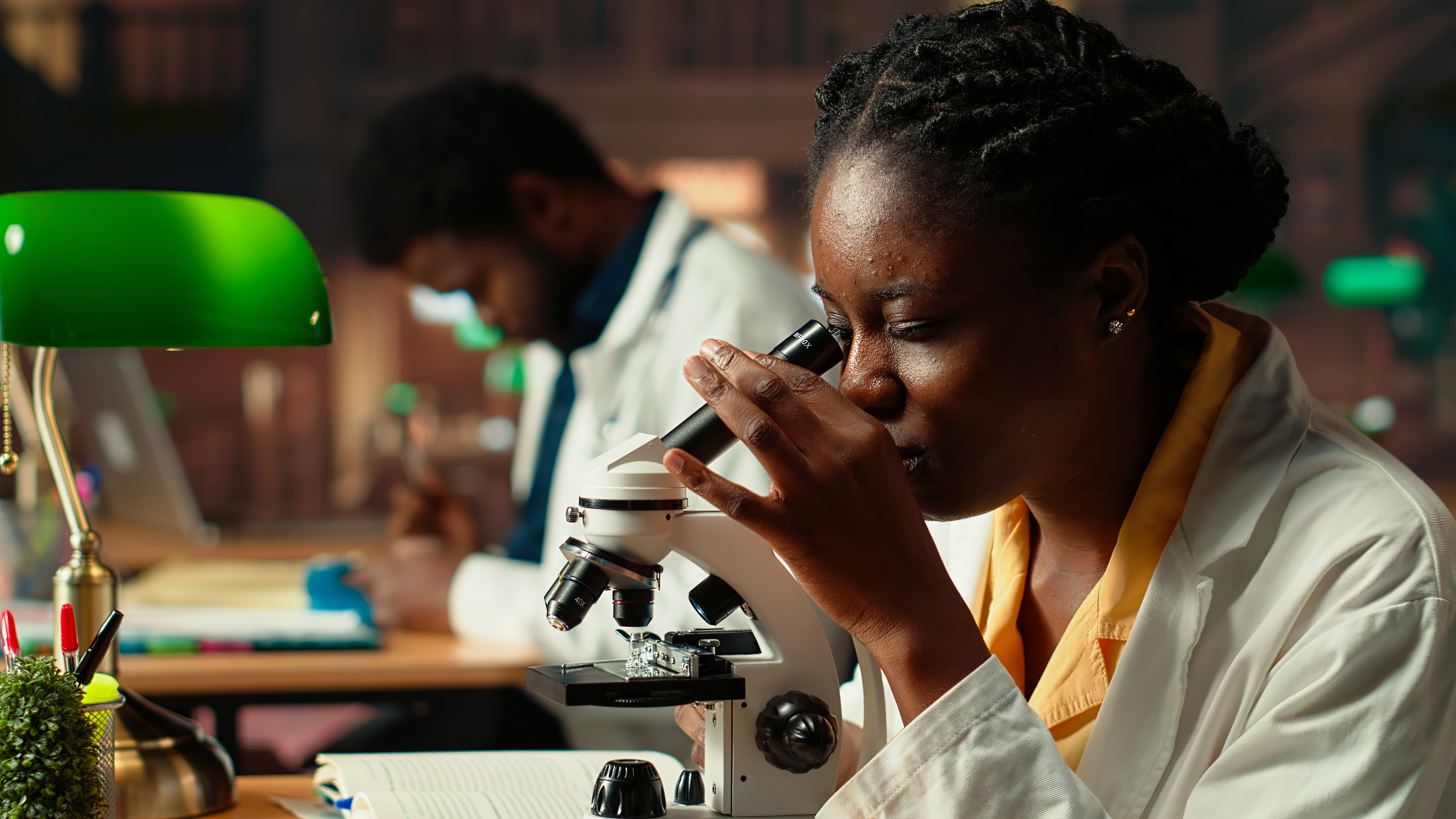 Course Image Le développement et l’amélioration des procédures opérationnelles standard (POS) pour l’inspection et la certification SPS 