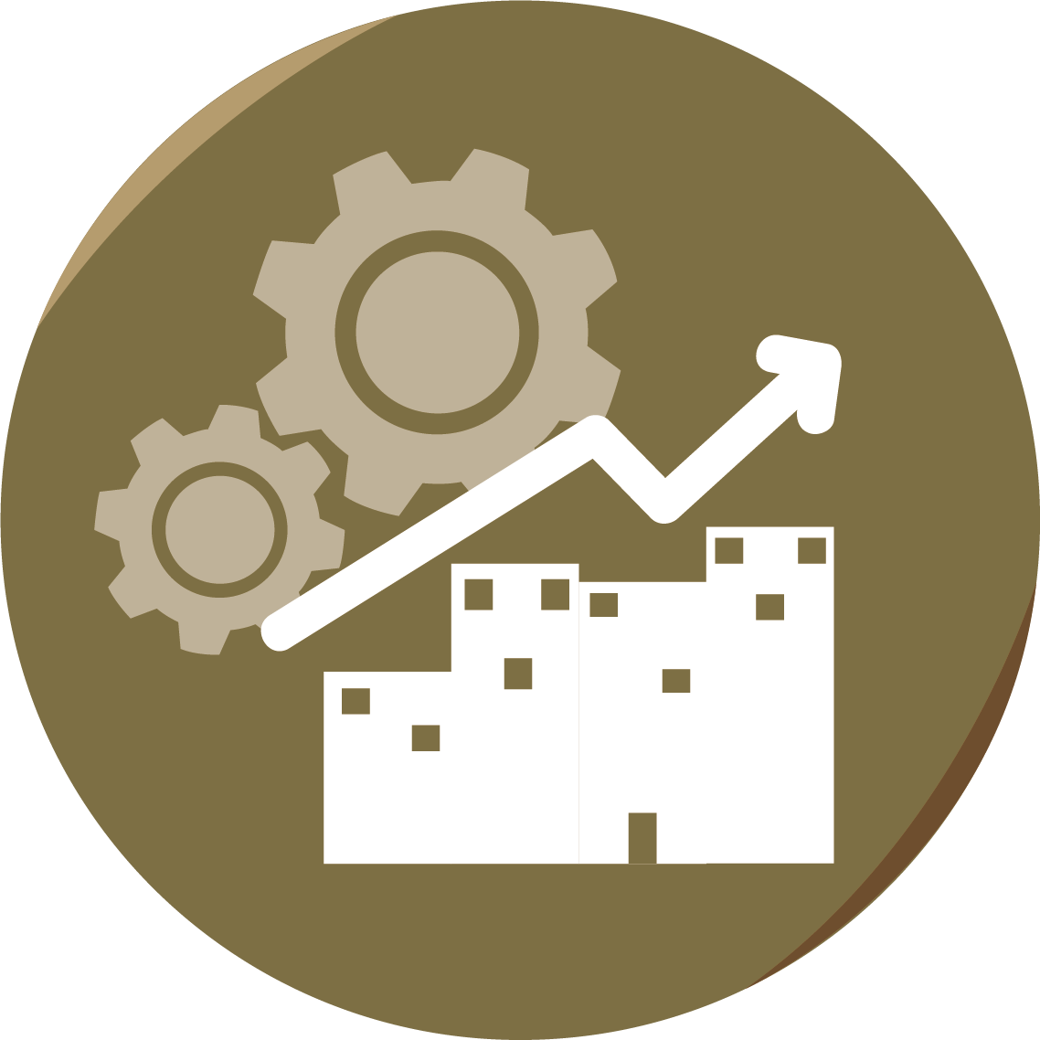 Management of organisations and business development