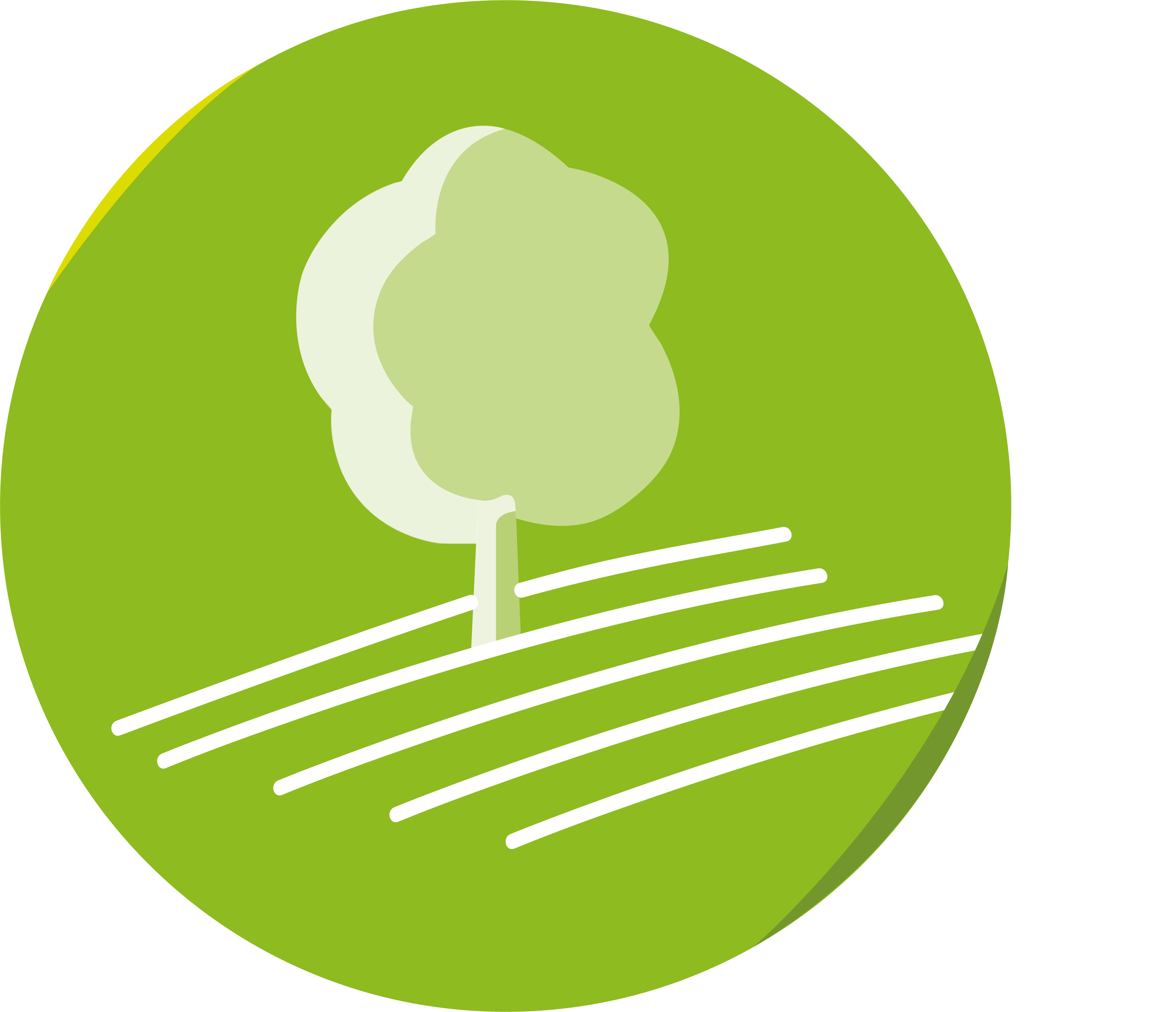Agricultural production and processing