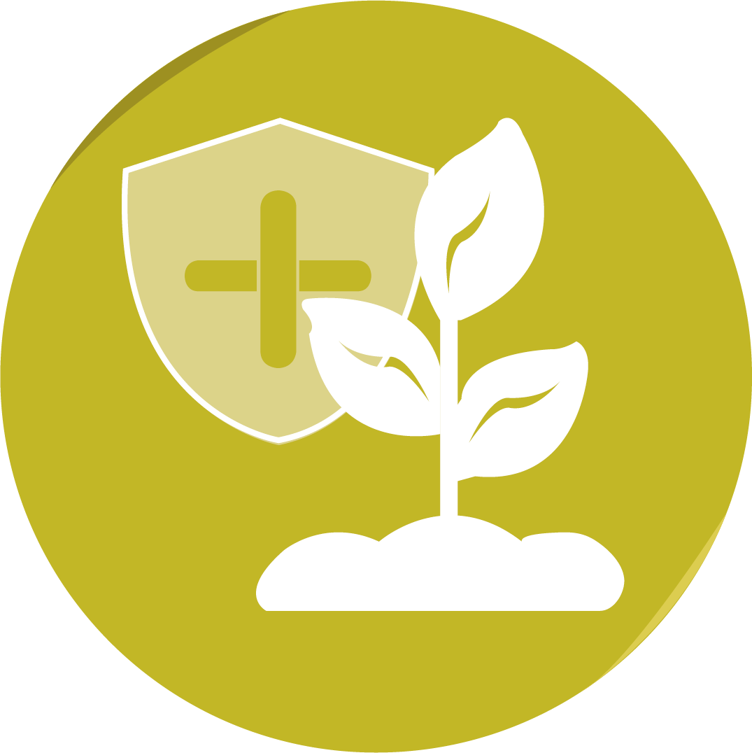 Plant health