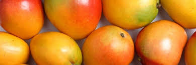 Course Image Mango Good Harvest and Post Harvest Practices, Commercial Fruit Quality 