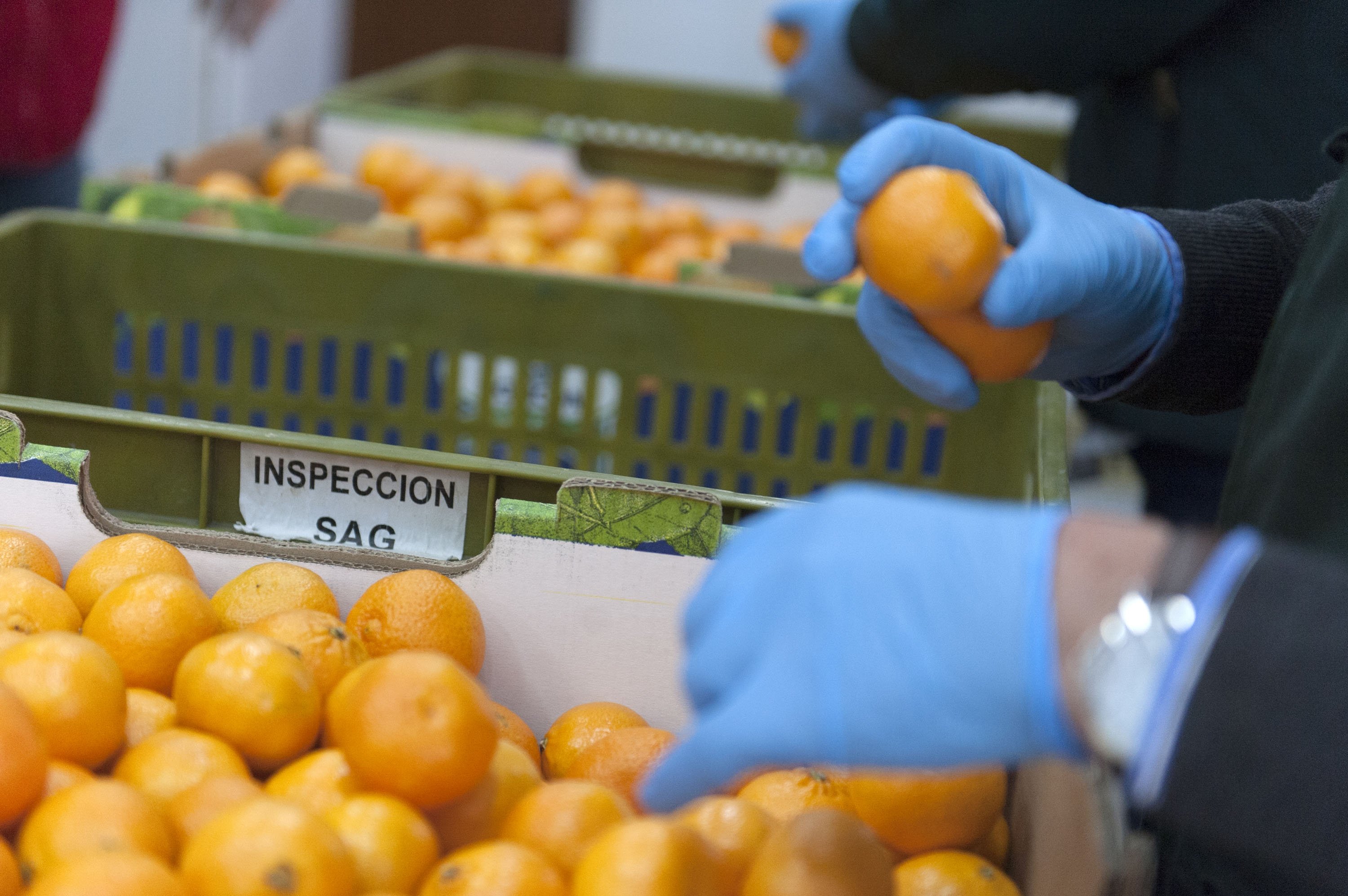 Course Image Phytosanitary Inspection